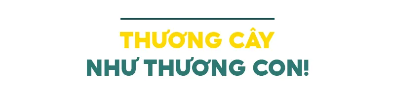 Những “ông vua” cây ăn quả ở Hoài Ân, Bình Định ảnh 11