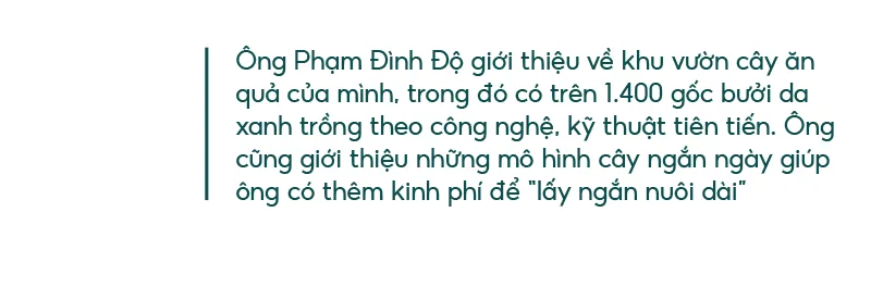 Những “ông vua” cây ăn quả ở Hoài Ân, Bình Định ảnh 22