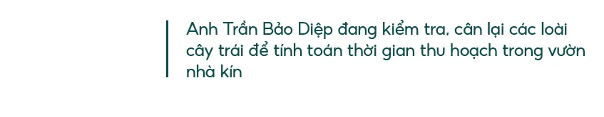 Những “ông vua” cây ăn quả ở Hoài Ân, Bình Định ảnh 27