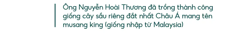 Những “ông vua” cây ăn quả ở Hoài Ân, Bình Định ảnh 4