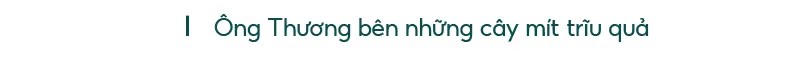Những “ông vua” cây ăn quả ở Hoài Ân, Bình Định ảnh 7