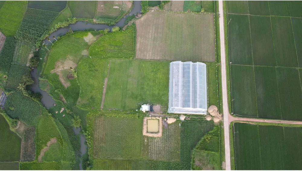 Hoài Ân – Bình Định: Tìm hướng đi bền vững cho nông sản ảnh 21