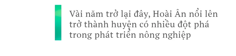 Hoài Ân – Bình Định: Tìm hướng đi bền vững cho nông sản ảnh 4