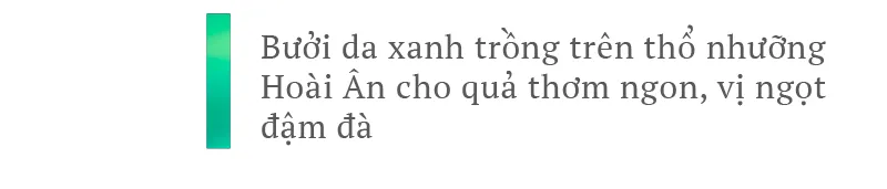 Hoài Ân – Bình Định: Tìm hướng đi bền vững cho nông sản ảnh 6