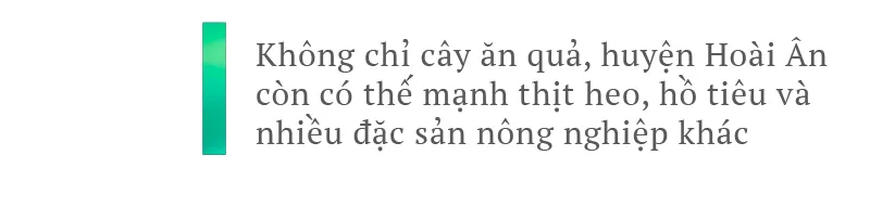 Hoài Ân – Bình Định: Tìm hướng đi bền vững cho nông sản ảnh 9