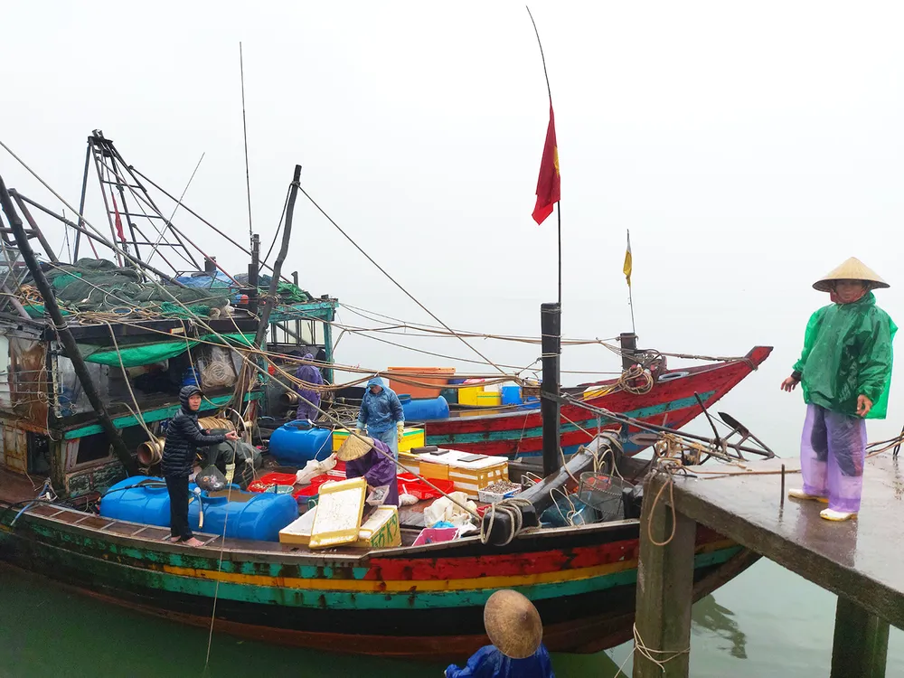 Ngư dân Hà Tĩnh nỗ lực đánh bắt sát Tết Nguyên Đán. Ảnh: DƯƠNG QUANG Ngư dân Hà Tĩnh nỗ lực đánh bắt sát Tết Nguyên Đán. Ảnh: DƯƠNG QUANG
