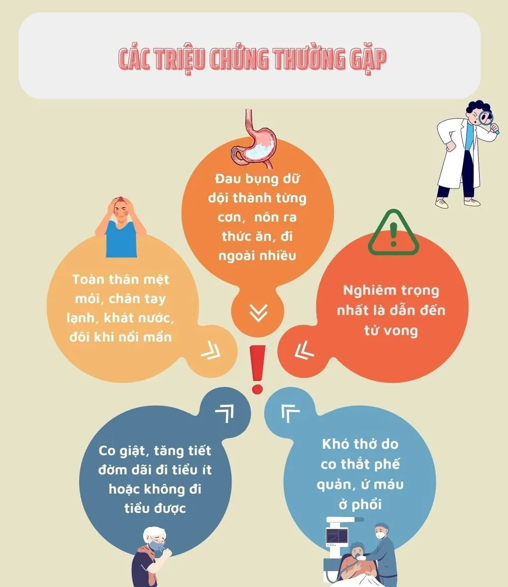 Những mối đe dọa độc tố từ cây nấm có trong tự nhiên ảnh 3