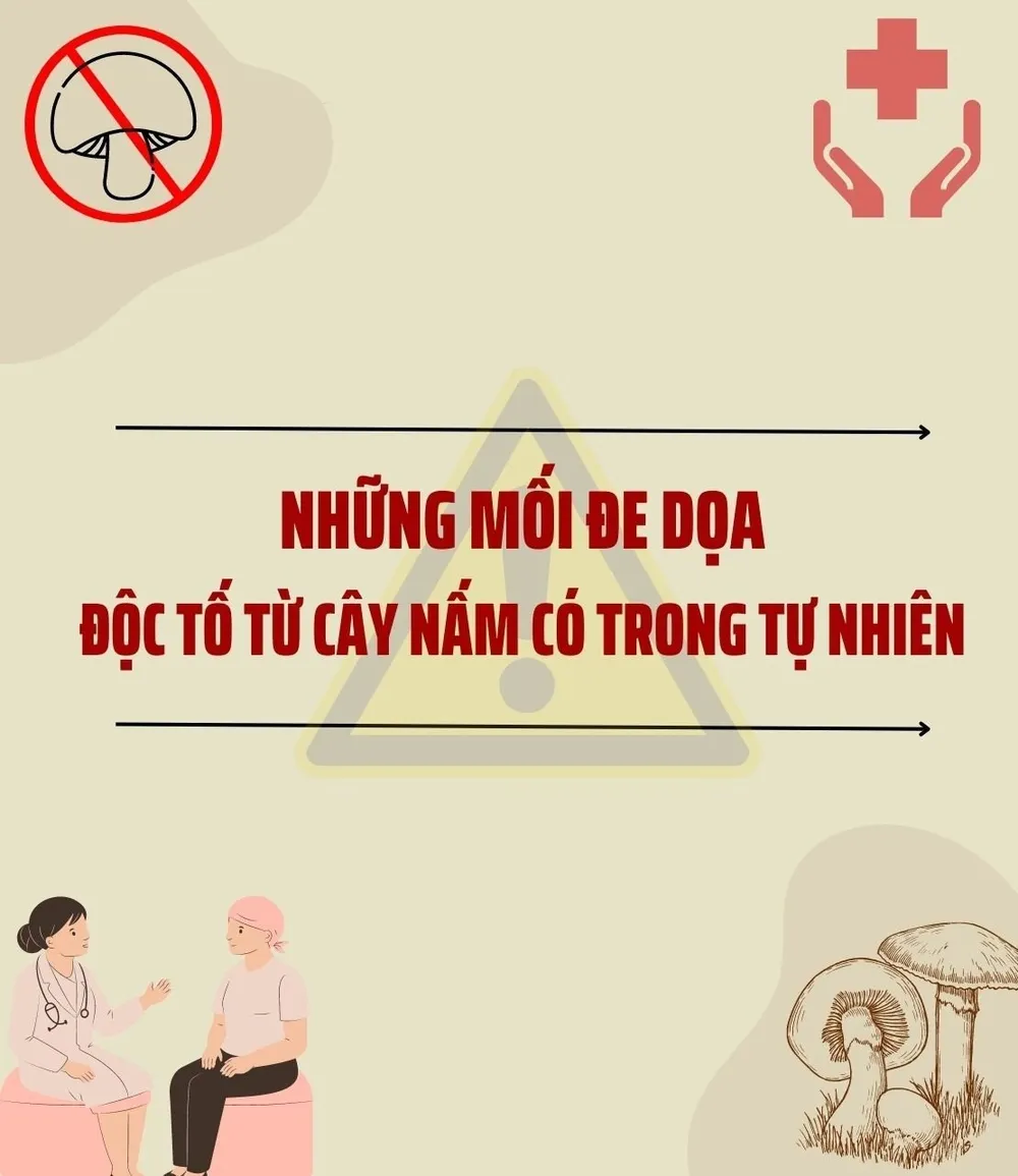 Những mối đe dọa độc tố từ cây nấm có trong tự nhiên ảnh 1