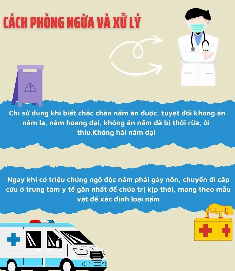 Những mối đe dọa độc tố từ cây nấm có trong tự nhiên ảnh 4