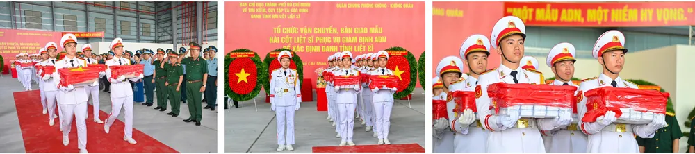 7104-mau-hai-cot-liet-si-12.jpg