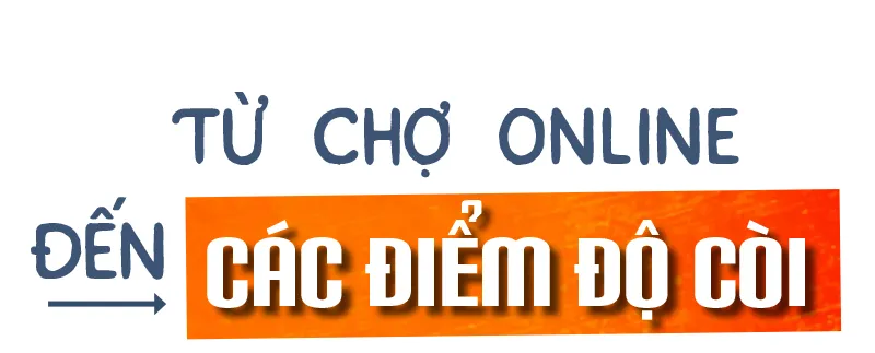 dieu-tra-do-coi-3.jpg
