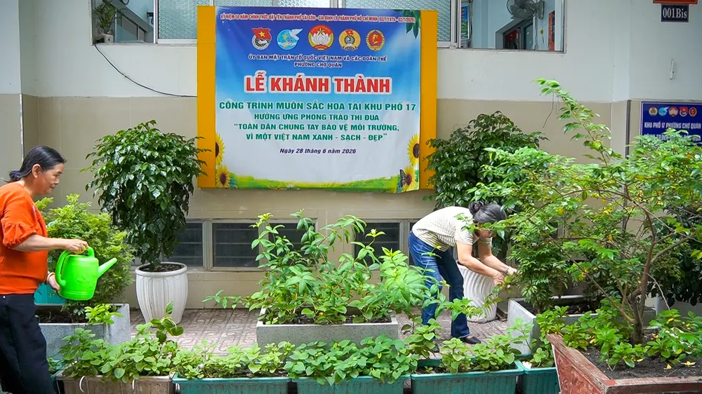 khu phố 13, phường Chợ Quán7.png