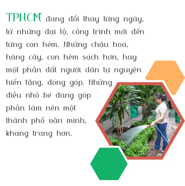 hem-hoa-tphcm-2.jpg