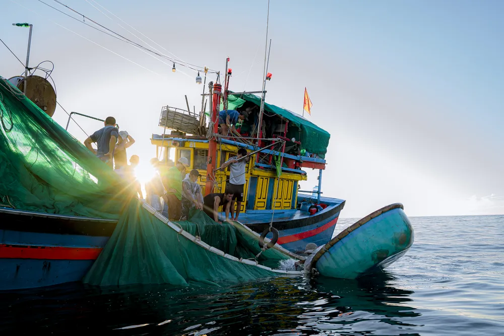 lọc sứa ra khỏi lưới.jpg