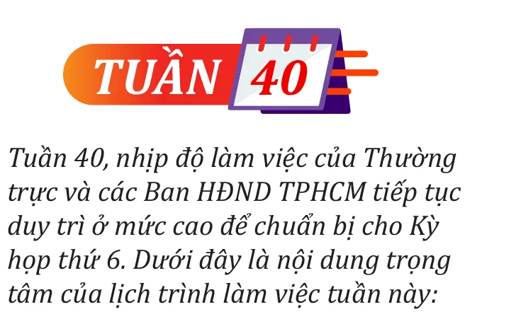 HDND-tuan-39-40-4.jpg