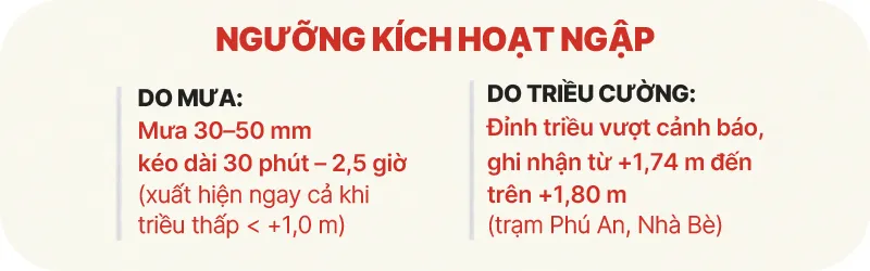 50-diem-2.jpg