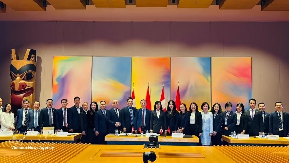 越南代表团在越加经济联合委员会第三次会议上合影留念。图：越通社发