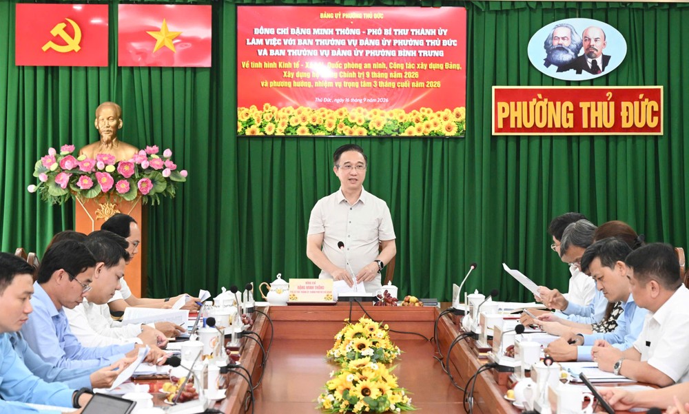 胡志明市市委副书记邓明通在工作会议上作总结讲话。图：越勇