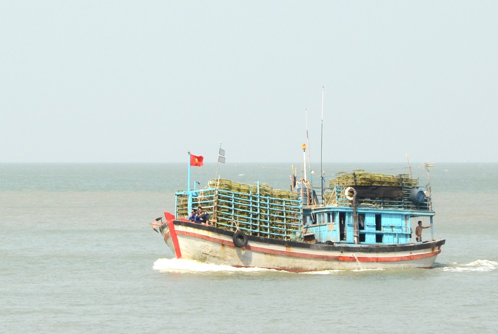 tau-ca-cap-nhat-thong-tin.jpg