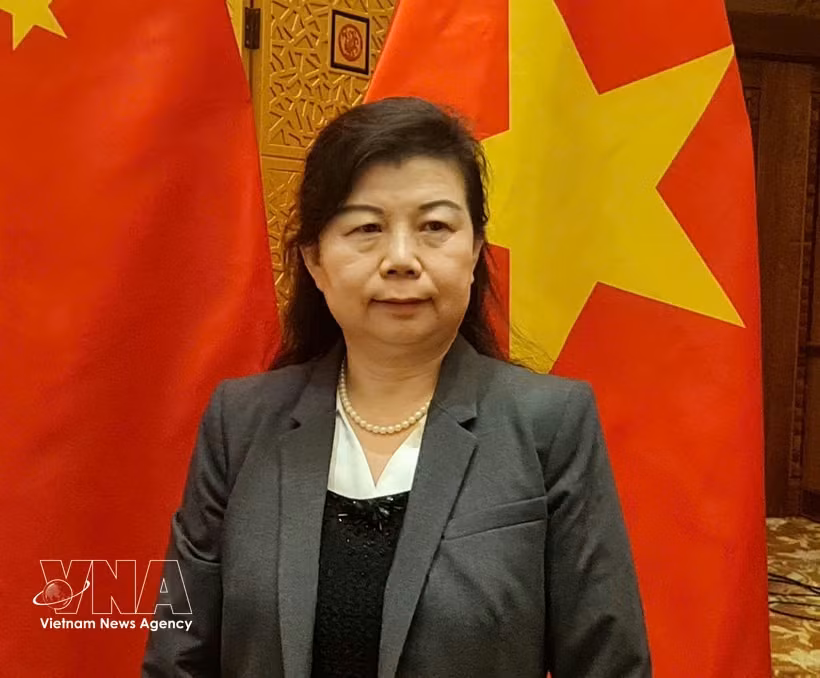 中国人民大学重阳金融研究院研究员刘英接受越通社驻中国记者采访。图自越通社
