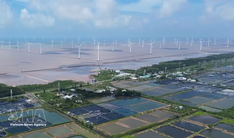 金瓯省东海乡海上风电项目。图自越通社
