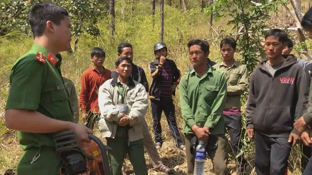 Điều tra vụ đốn hạ gỗ hương trong vườn quốc gia ảnh 1