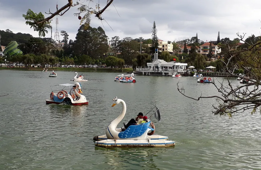 Đà Lạt rộn ràng khách du xuân ảnh 2