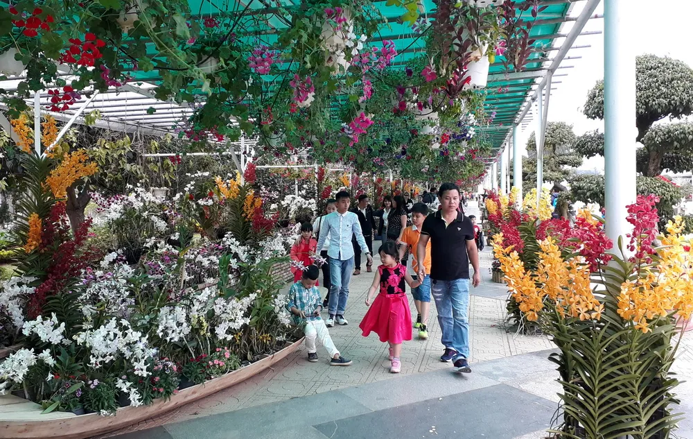 Đà Lạt rộn ràng khách du xuân ảnh 3