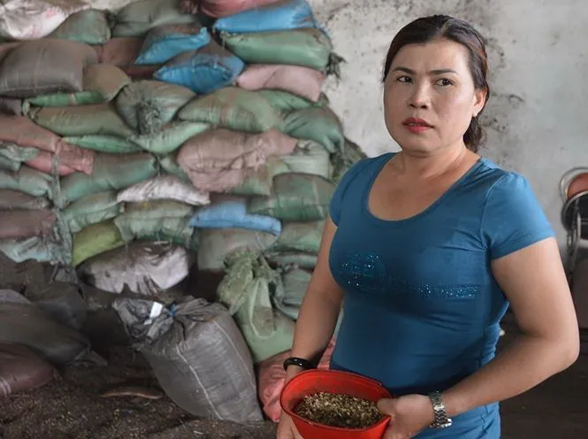 Bắt tạm giam 5 đối tượng liên quan vụ tiêu “pin“ ảnh 1