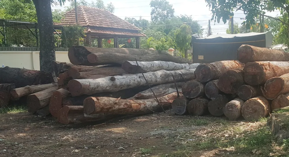 Hàng trăm khối gỗ tang vật thu giữ tại hạt kiểm lâm Cư Jút