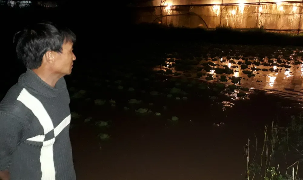 Đà Lạt: Mưa dữ dội, nhiều nơi ngập nặng ảnh 2