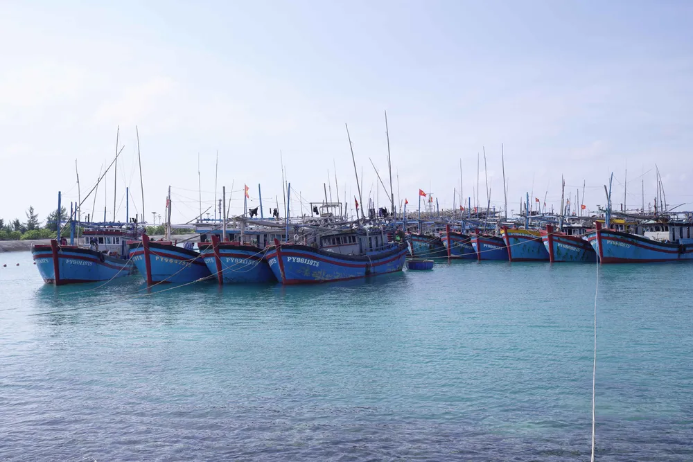 Hơn 500 ngư dân vào các đảo Trường Sa tránh bão RAI ảnh 1