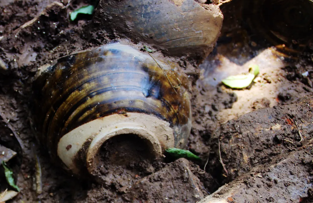 Tìm lại “đô thị gốm cổ” độc đáo dọc bờ sông Kôn, Bình Định ảnh 10