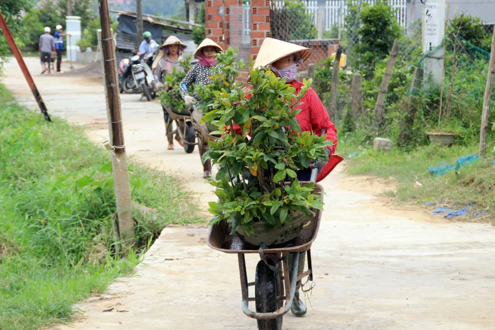 22 tàu cá Bình Định đang “chạy” bão số 12 ở ngoài biển ảnh 3