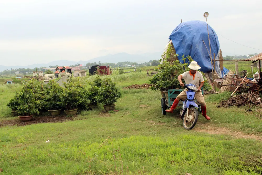 22 tàu cá Bình Định đang “chạy” bão số 12 ở ngoài biển ảnh 2