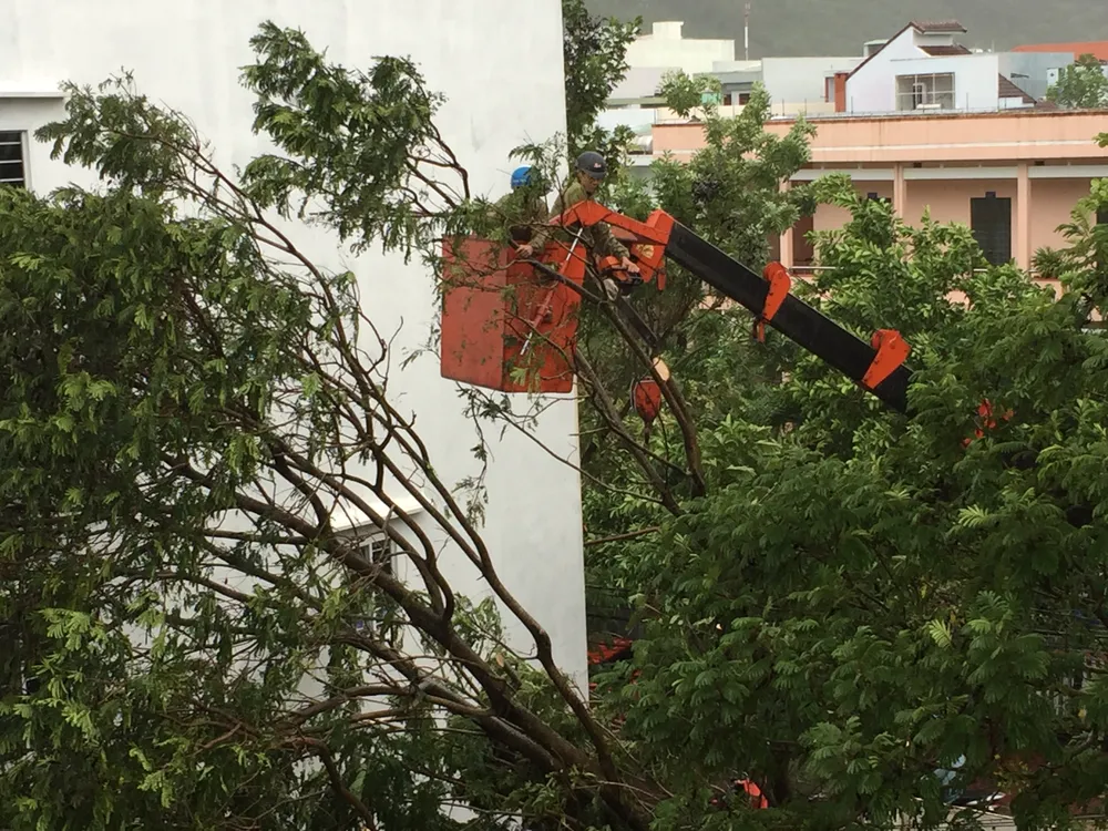 VIDEO: Nam Trung bộ hàng ngàn nhà tốc mái, nhiều tàu dạt bờ ảnh 16