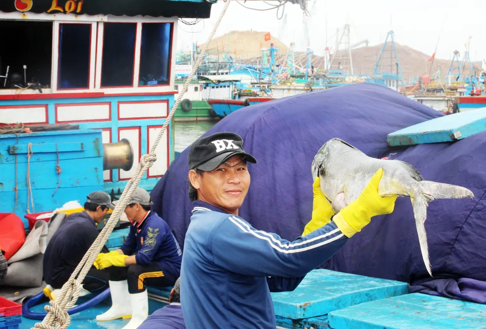 Ngư dân Bình Định trúng đậm vụ cá đầu năm ảnh 3