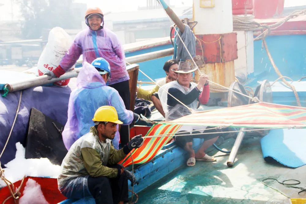 Ngư dân Bình Định trúng đậm vụ cá đầu năm ảnh 8