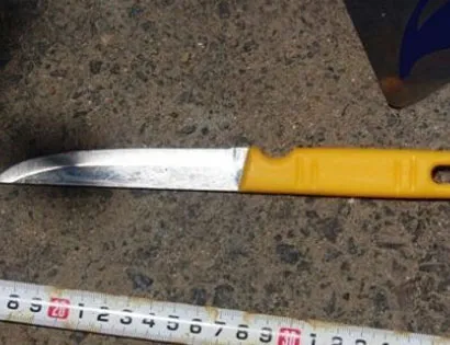 Vợ 71 tuổi đâm chết chồng rồi đi tự thú