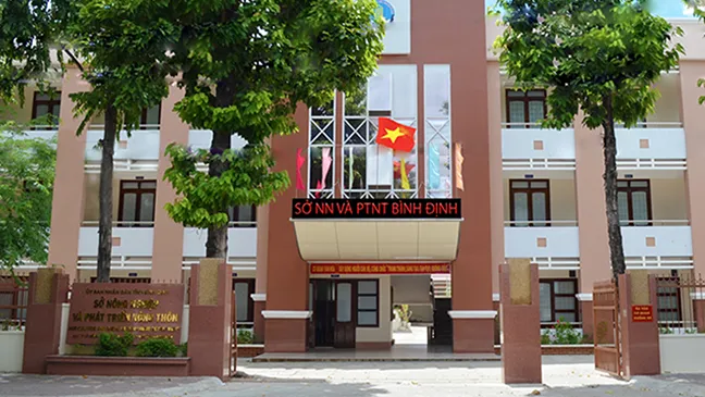 Bình Định chấn chỉnh tình trạng cán bộ lãnh đạo thiếu chuẩn ảnh 1