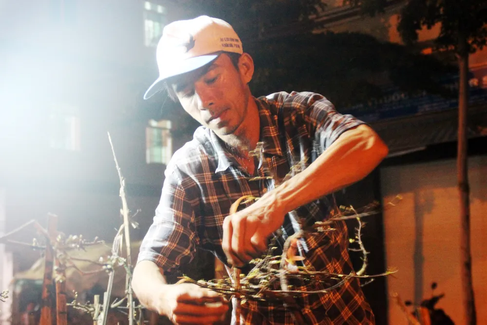 Chủ mai Bình Định “đổ bộ” QL1 chong đèn, dựng lều chào bán mai tết sớm ảnh 3