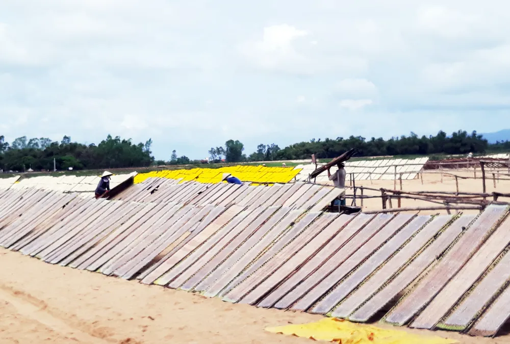 Làng nghề truyền thống An Thái rộn ràng vào vụ tết ảnh 7