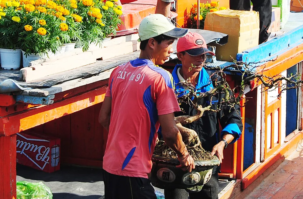 Tết theo những con tàu ra đảo Nhơn Châu ảnh 3