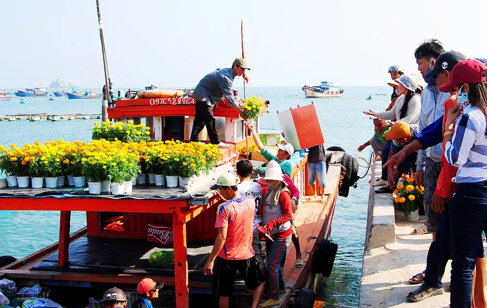 Tết theo những con tàu ra đảo Nhơn Châu ảnh 2