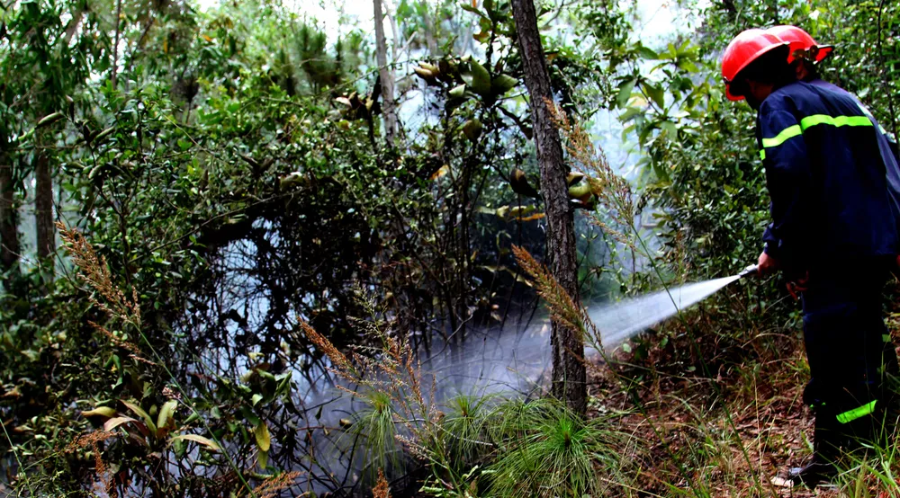 Núi Bà Hỏa bùng cháy giữa trưa ảnh 2