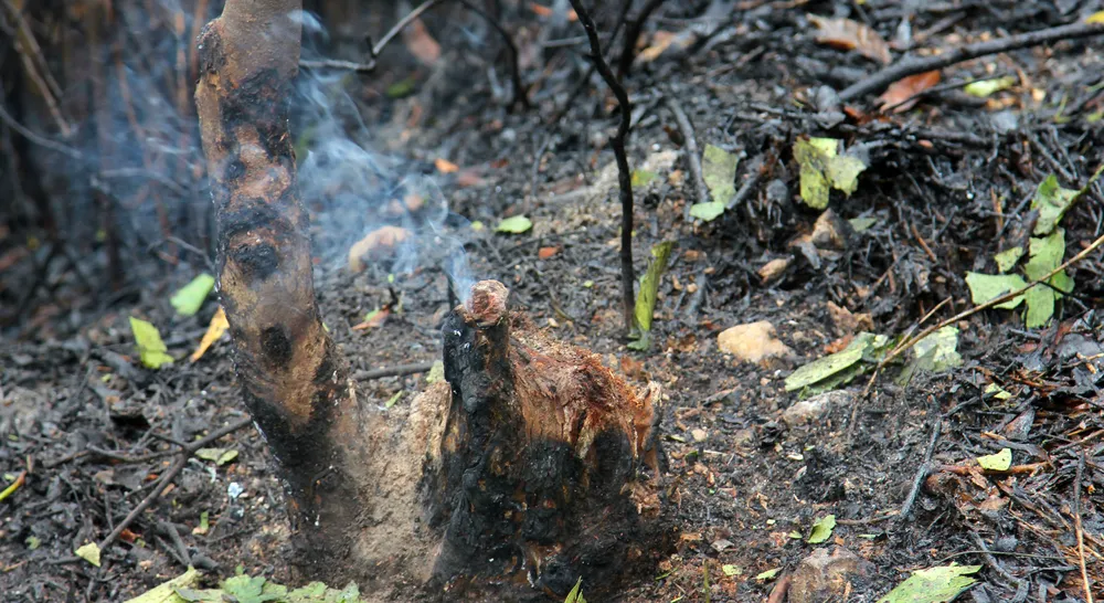 Núi Bà Hỏa bùng cháy giữa trưa ảnh 5