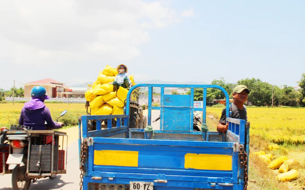 “Chợ rơm” giữa đồng ảnh 10