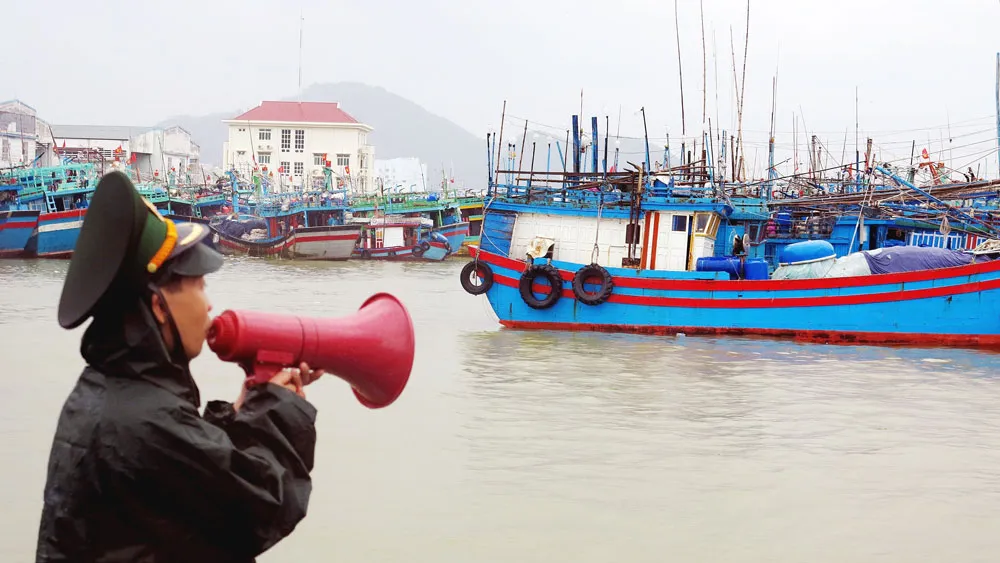 Do ảnh hưởng của áp thấp nhiệt đới, hơn 2.000 du khách tại đảo Lý Sơn