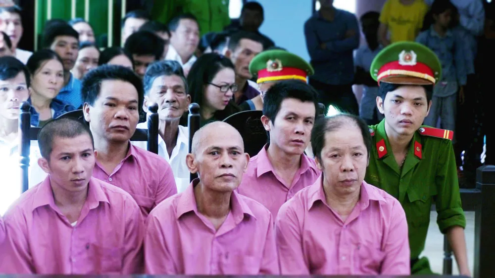 Hoãn xét xử “đại án” phá rừng quy mô lớn nhất Bình Định ảnh 2