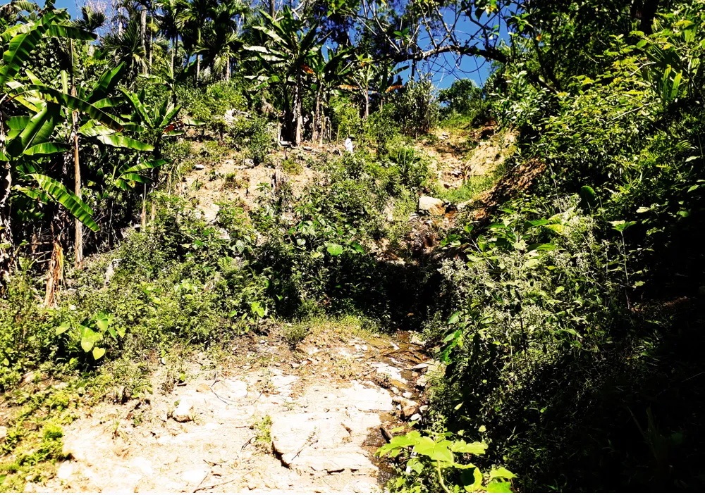 Mời cơ quan địa chất khảo sát việc núi Goi Ra Hách xuất hiện hàng chục vết nứt ảnh 3